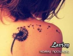 Larion : Kamni Prošlogo